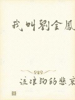 我叫刘金凤下架