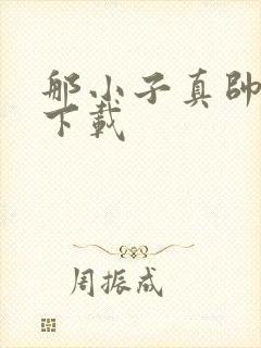 那小子真帅小说下载