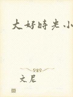 大好时光小说