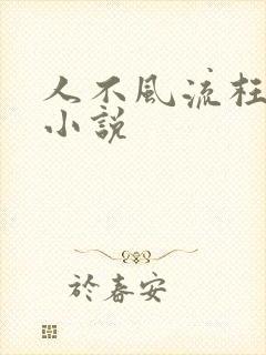人不风流枉少年小说