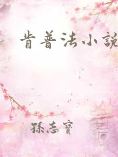 肯普法小说下载