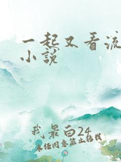 一起又看流星雨小说