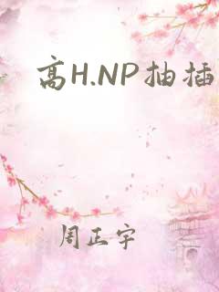 高H.NP抽插