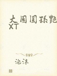 大团圆孙艳梅TXT