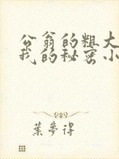 公翁的粗大放进我的秘密小说