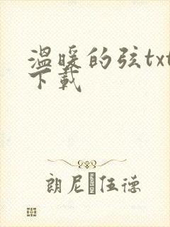 温暖的弦txt下载