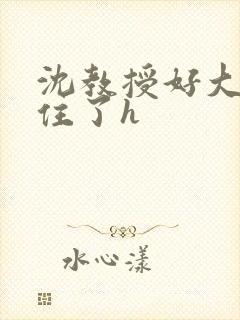 沈教授好大含不住了h