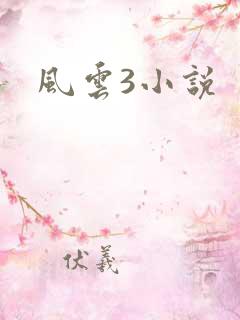 风云3小说