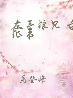 左手狼兄 右手狐弟