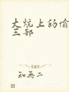 大炕上的偷乱第三部