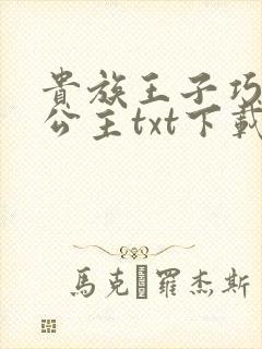 贵族王子巧遇穷公主txt下载