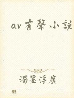 av有声小说