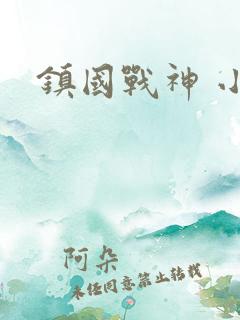 镇国战神 小说