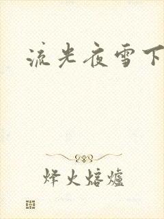 流光夜雪下载