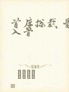 首席总裁 爱你入骨