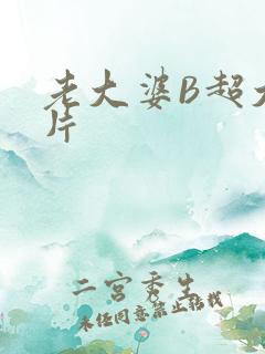 老大婆B超大图片