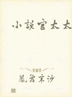 小说官太太