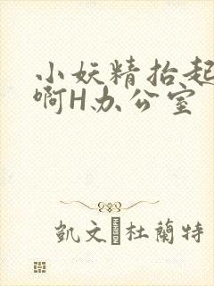 小妖精抬起臀嗯啊H办公室