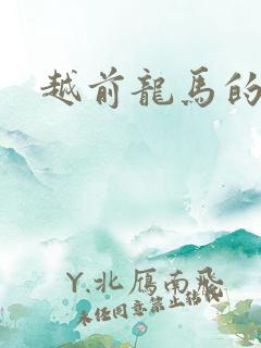 越前龙马的小说