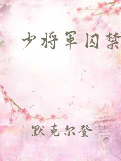 少将军囚禁我