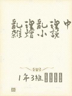 乱理乱理中文大杂烩小说