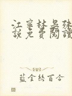 江宁林晏殊的小说免费阅读