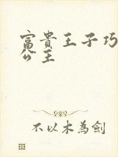 富贵王子巧遇穷公主