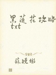 黑莲花攻略手册 txt