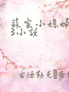 苏家小媳妇1V3小说