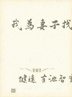 我为妻子找男妓