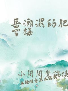 岳潮湿的肥厚李雪梅