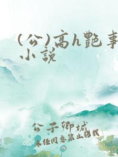 (公)高h艳事小说