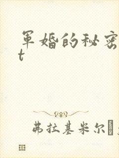 军婚的秘密txt