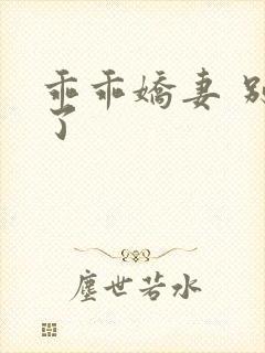 乖乖娇妻 别闹了