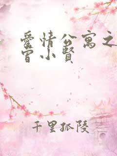 爱情公寓之极品曾小贤