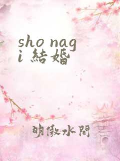 sho nagi 结婚