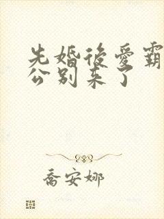 先婚后爱霸道老公别来了