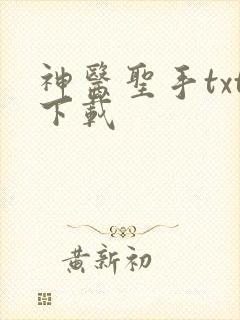 神医圣手txt下载