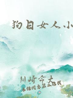 狗日女人小说
