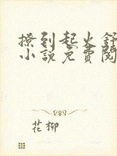 撩到起火舒漾的小说免费阅读全文