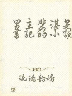 男主裴湛是省委书记的小说