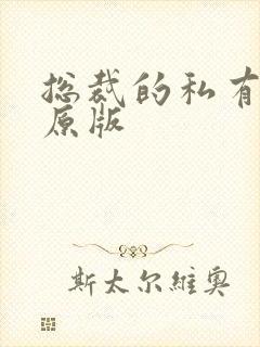 总裁的私有宝贝原版