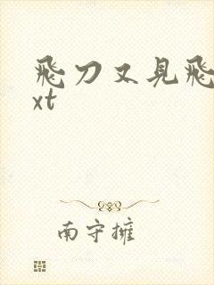 飞刀又见飞刀txt
