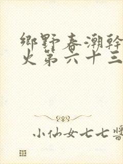 乡野春潮干柴烈火第六十三章