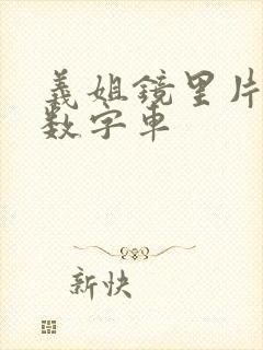 义姐镜里片微博数字车