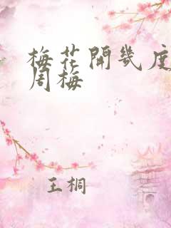 梅花开几度老张周梅