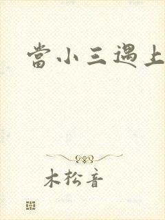 当小三遇上小四