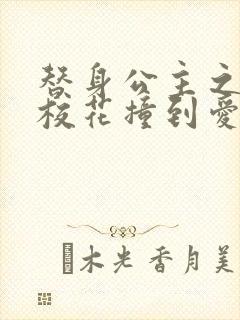 替身公主之杀手校花撞到爱