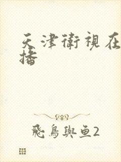 天津卫视在线直播