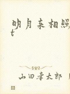 明月来相照txt